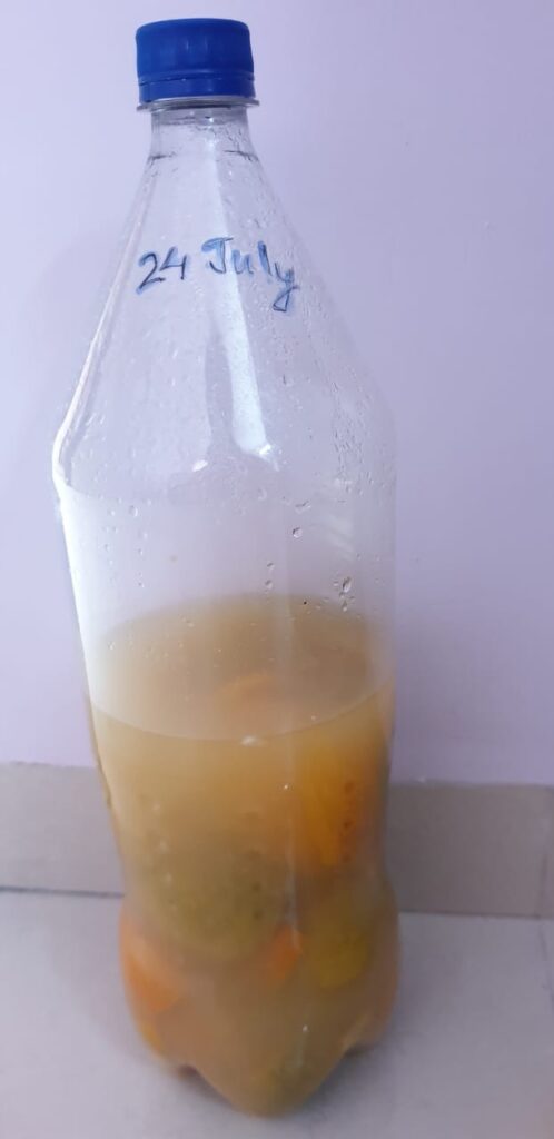 Non-toxic Home Cleaner